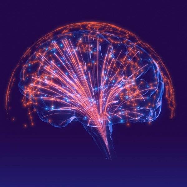 Visualisation of neurons inside a brain. 