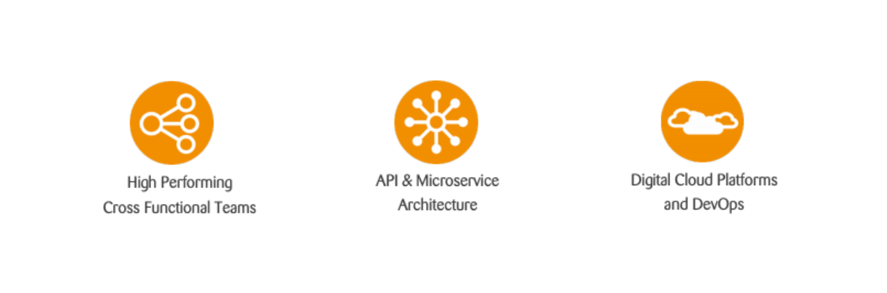 API, Microservice Architecture, Digital Cloud Services, DevOps