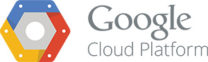 Google Cloud Service Partner