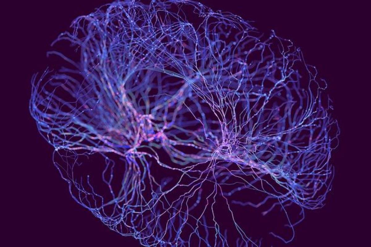 Neurosystem visual in purple colour